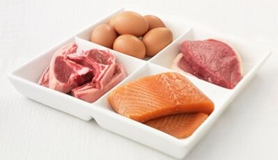 Principios básicos de nutrición en una dieta proteica.